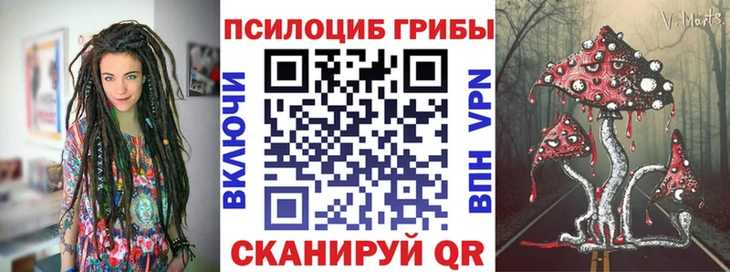 Псилоцибиновые грибы прущие грибы  Купить  Жигулёвск 